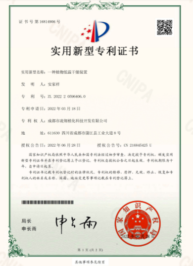 專利