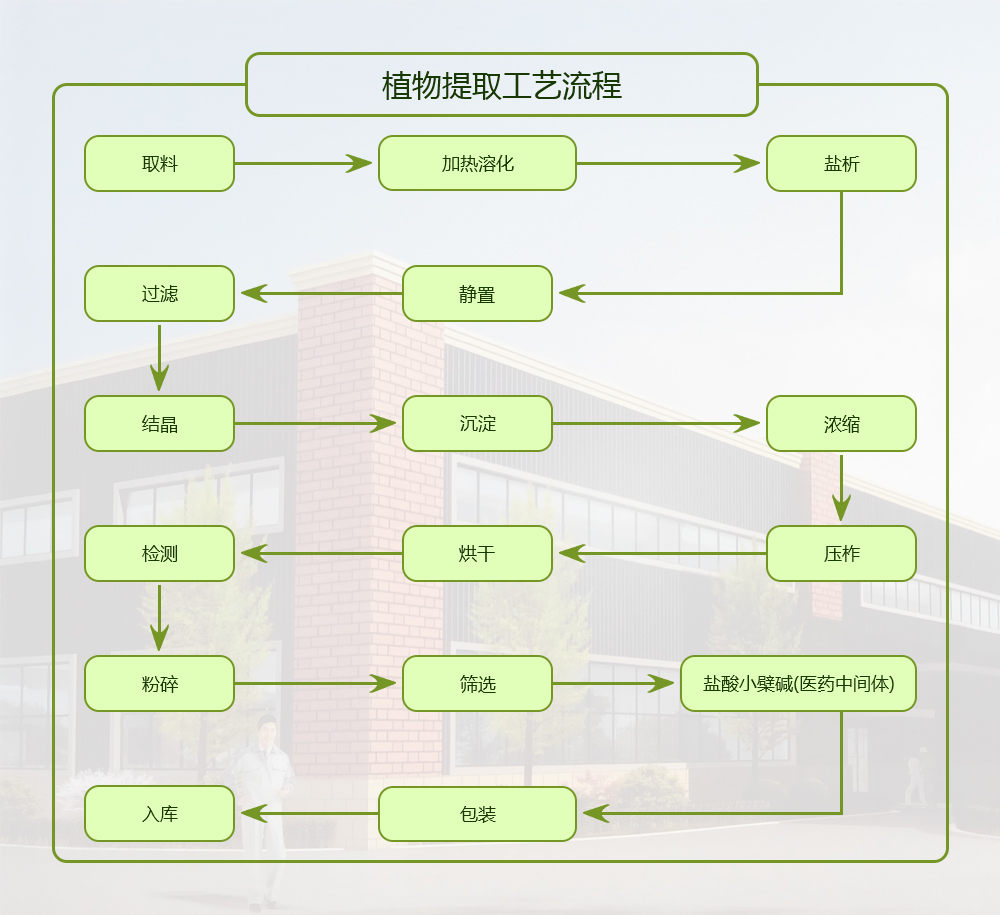 植物提取工藝流程
