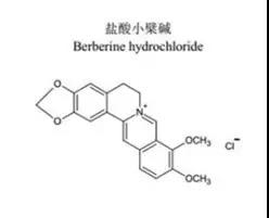 “小檗堿”的前世今生你知道嗎？