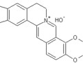 【植提】不起眼的黃連素，功效居然這么多