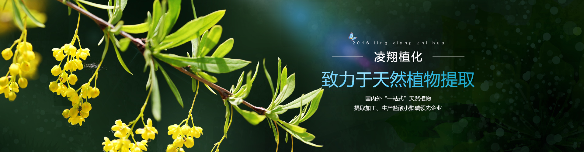 通欄圖片
